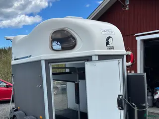 Hästtransporter fordon & transport till salu: Cheval liberte gold first -2020 - Annons 1