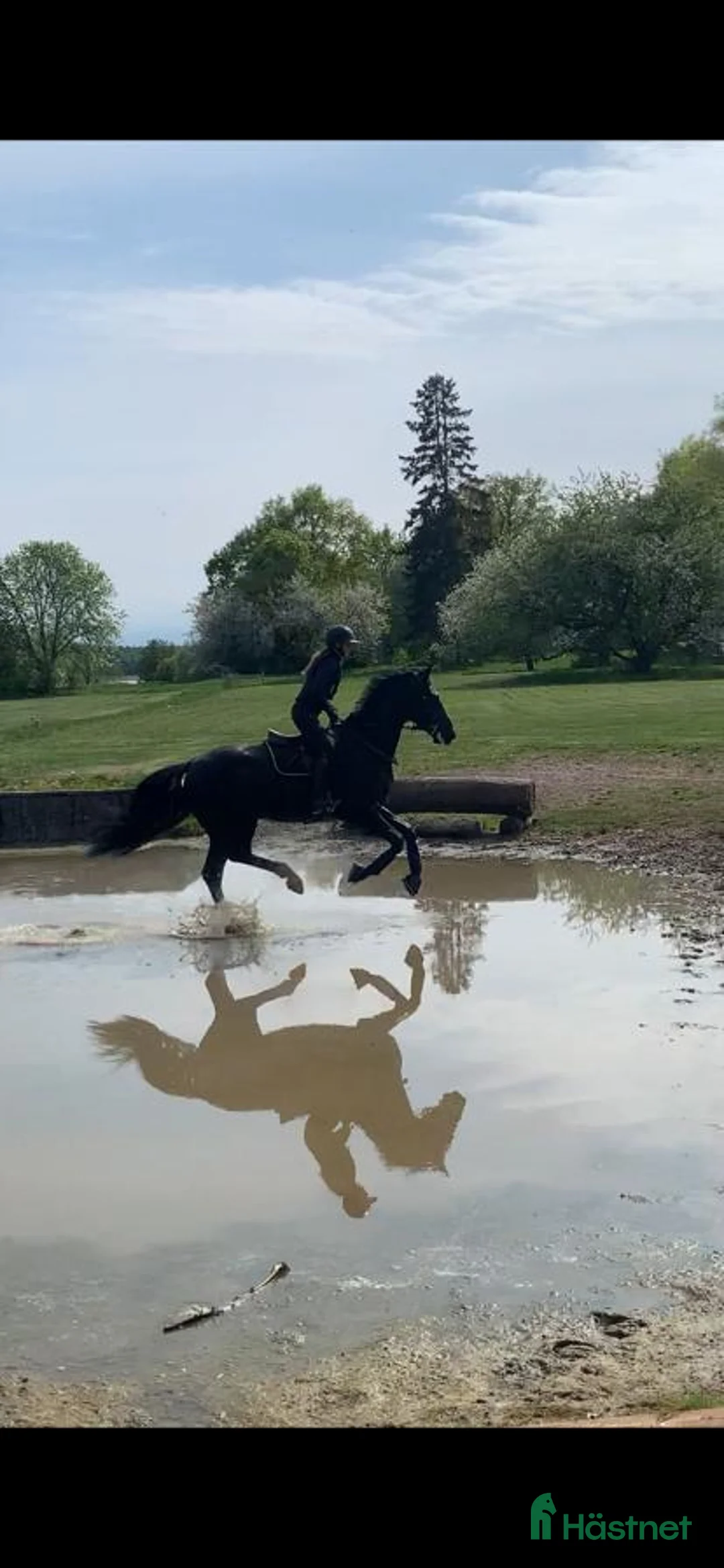  hästservice finnes: Utbildning/inridning/tävling  - Annons 5