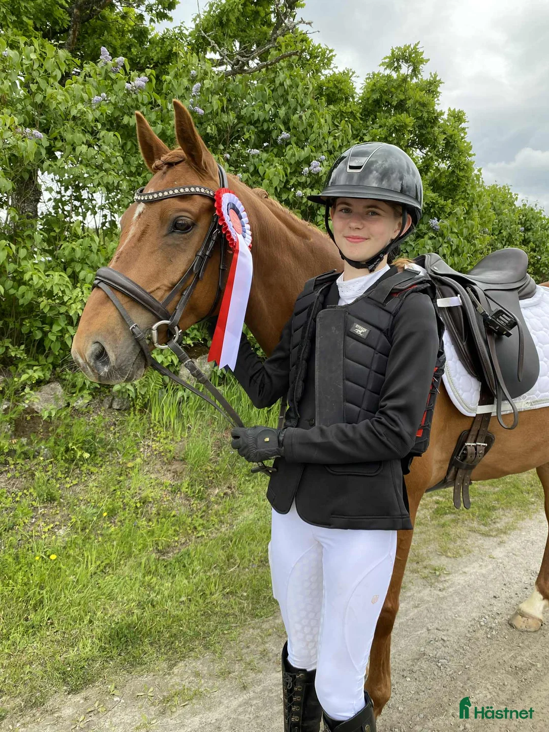 Allround hästar till salu: UTVECKLINGSBAR D-PONNY i Vintrosa - Annons 5