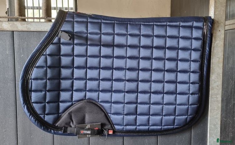 Schabrak & Vojlockar hästutrustning till salu i Sölvesborg - Annons 14