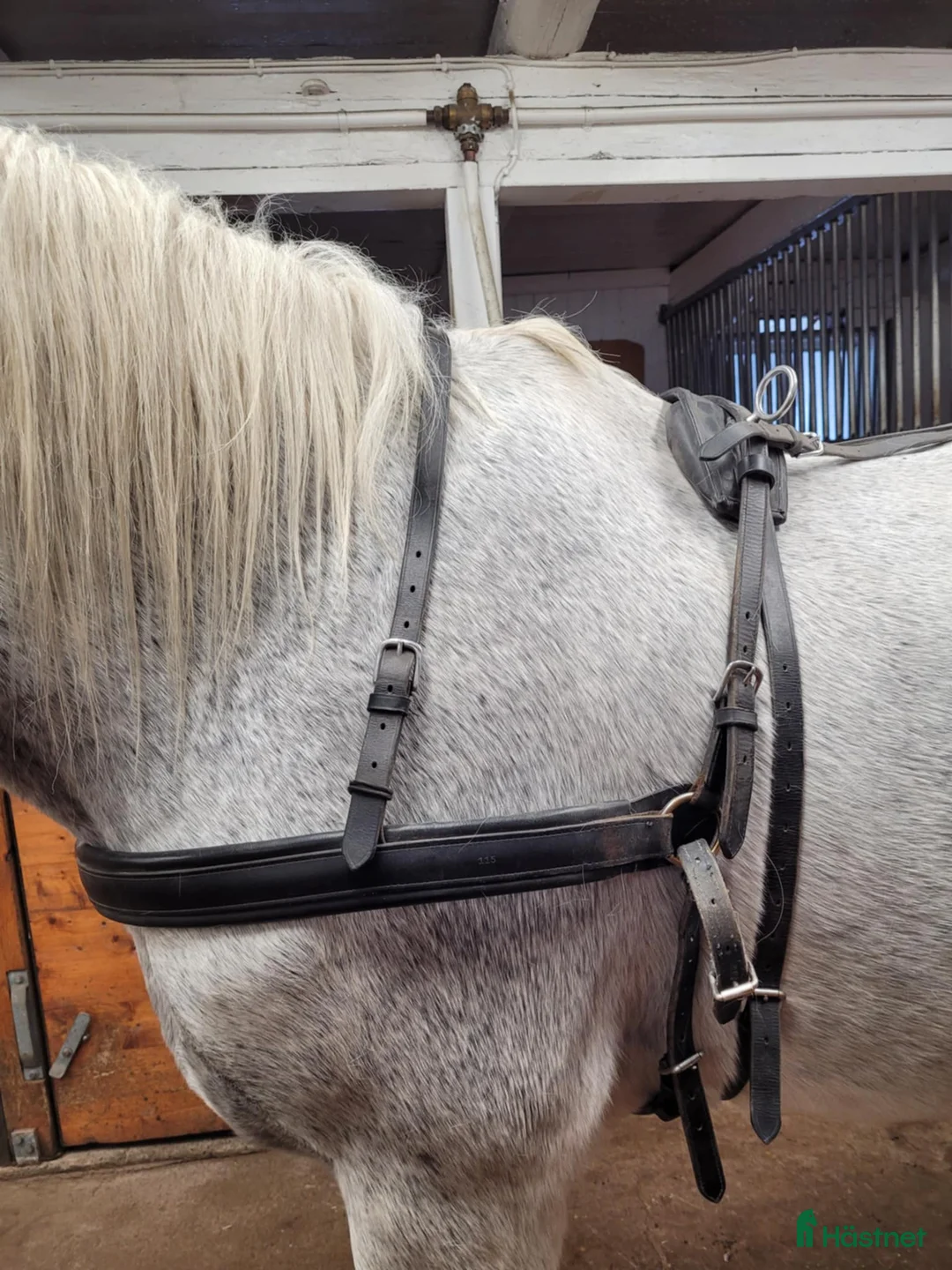 Körselar körning till salu: Körsele i svart läder stl full i Tyresö - Annons 1