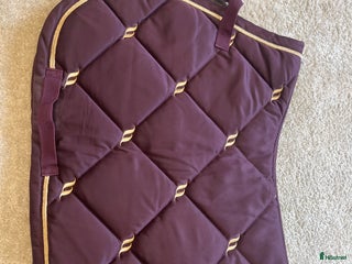 Schabrak & Vojlockar hästutrustning till salu: Hoppschabrak i Kungälv - Annons 4