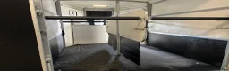 Hästtransporter  fordon & transport till salu: Ifor willams 511 i Sölvesborg - Annons 8