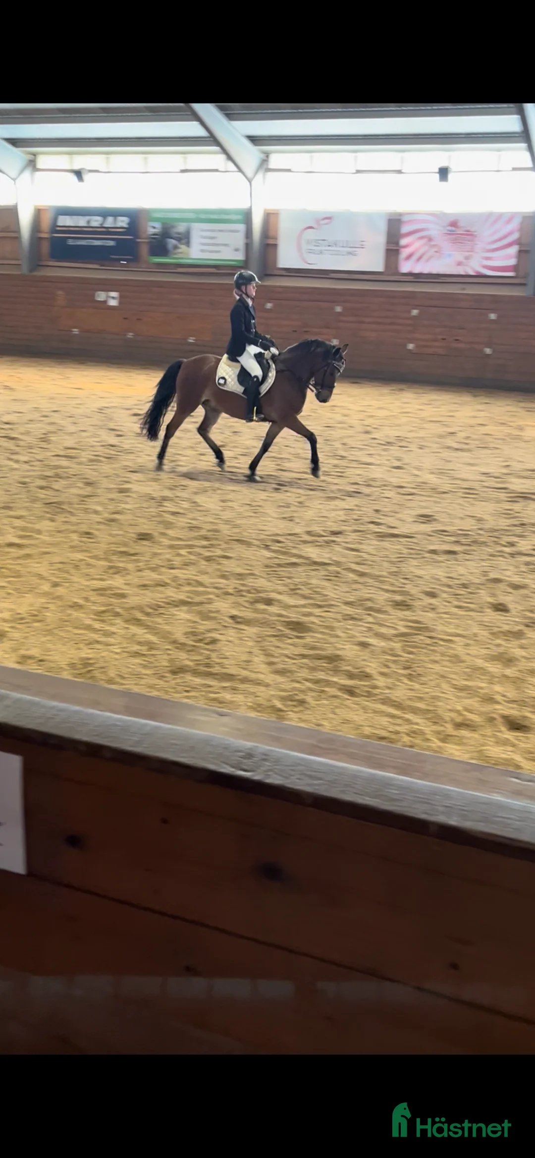 Hoppning hästar till salu: Projektponny med potential  i Valla - Annons 5