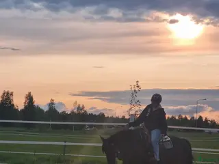 hästar SÅLD Trygg häst till körning, ridning, hoppning - Annons 5