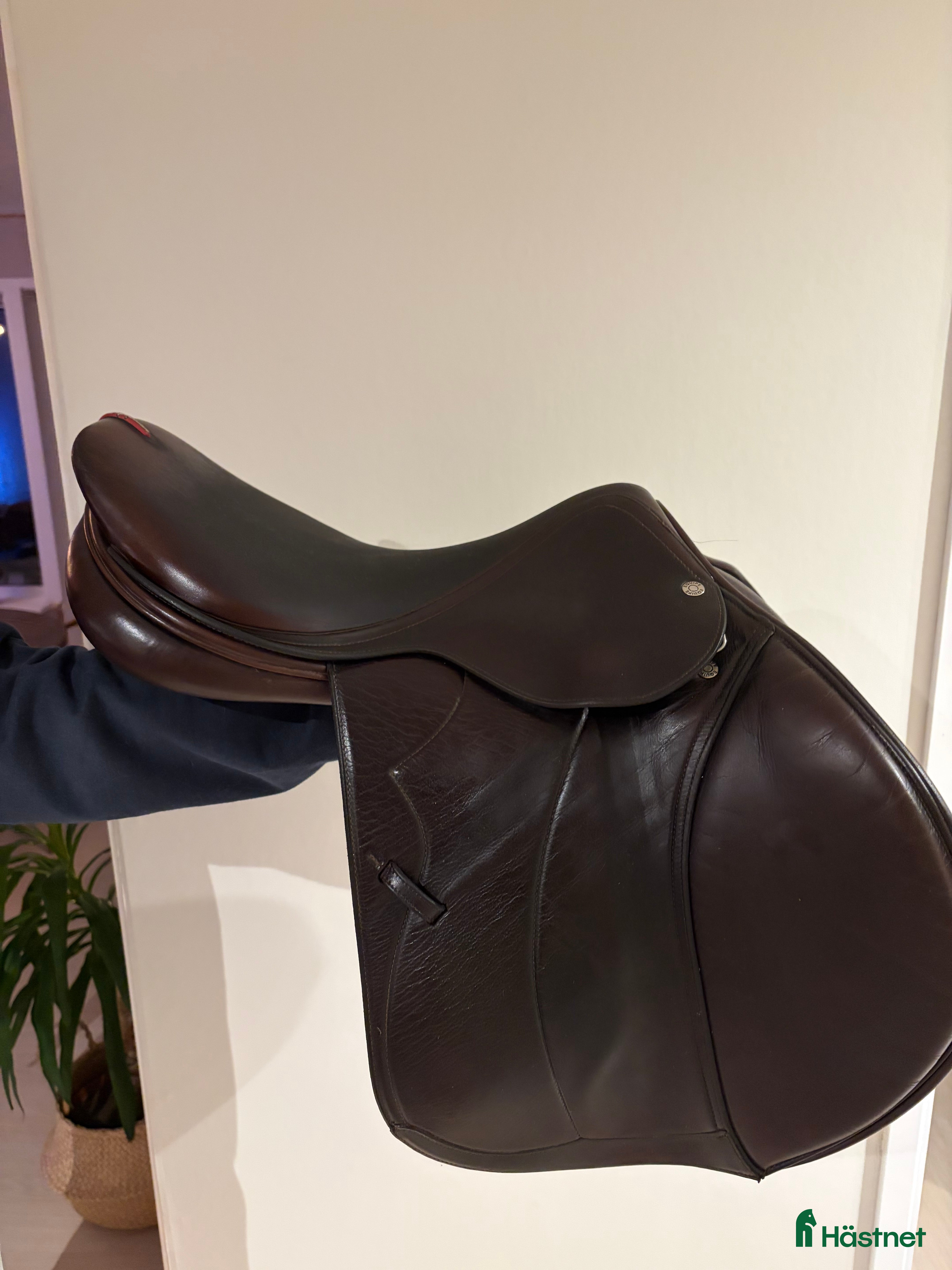 Sadlar hästutrustning Equipe evolution i Länghem - Annons 7