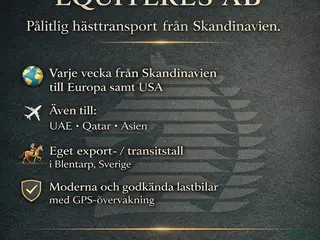hästservice Hästtransport i Sverige, Finland, Europa och USA i Blentarp - Annons 2