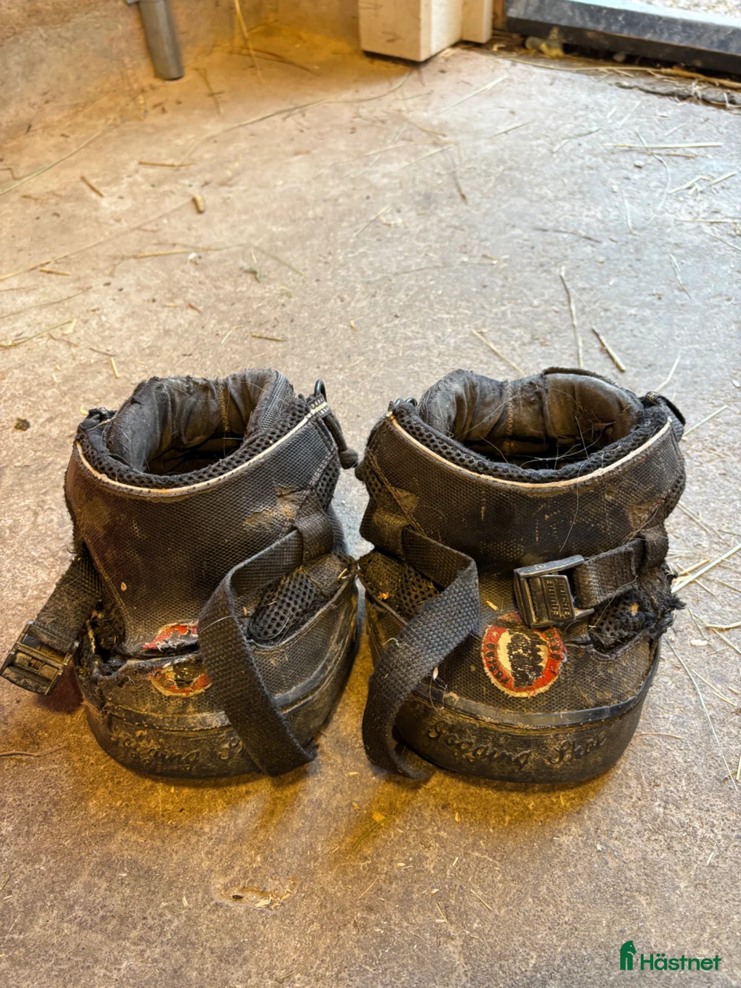 Övrig Hästutrustning hästutrustning till salu: Equine fusion strl 13 - Annons 1