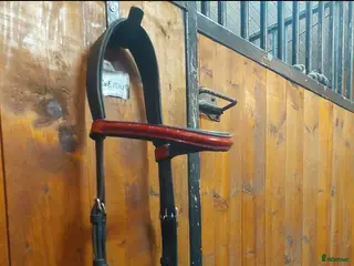 Träns hästutrustning Islandsträns i Gnesta - Annons 6