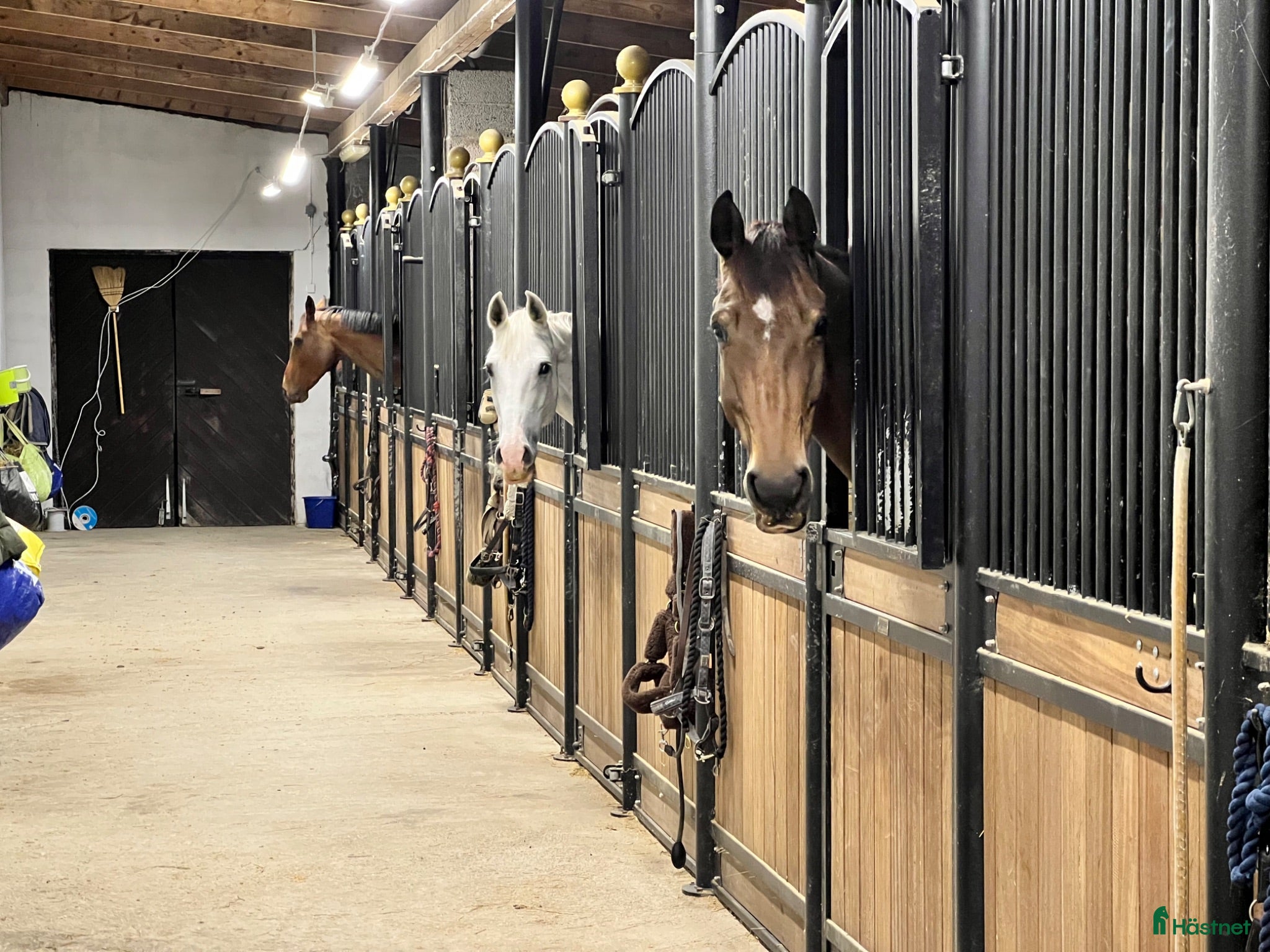  stallplats Det trivsamma stallet med allt - Annons 4