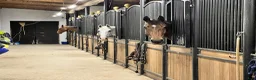 stallplats finnes: Det trivsamma stallet med allt - Annons 1