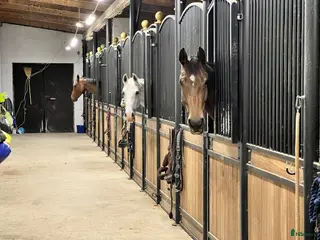 stallplats Det trivsamma stallet med allt - Annons 4