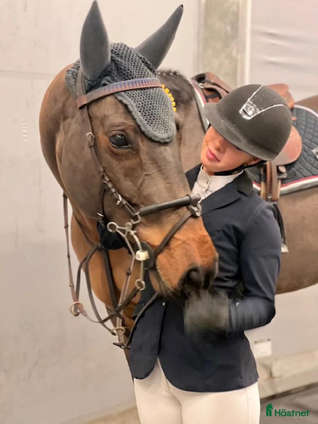 Hoppning hästar till salu: Topphäst Children/Junior  - Annons 11