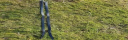 Sadeltillbehör hästutrustning till salu: Svarta Equipe stigläder i kalvskinn, 135 cm i Forserum - Annons 2