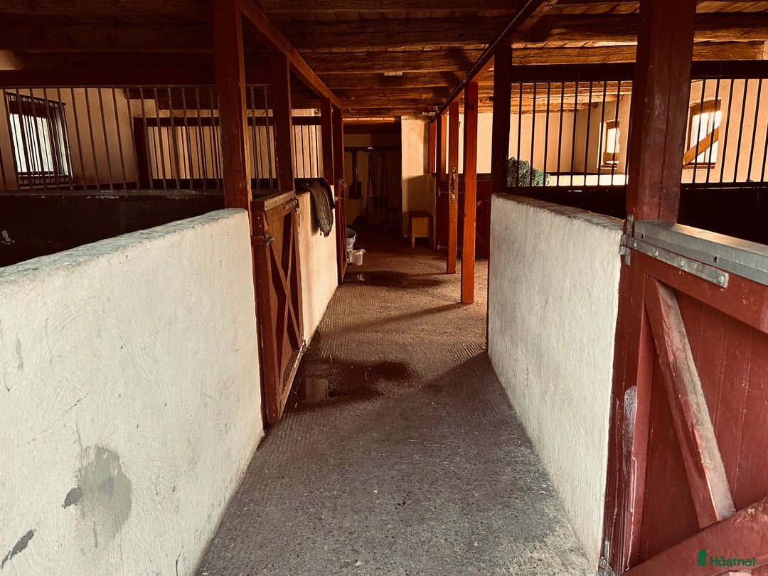  stallplats finnes: Lediga boxplatser i Sjöbo (Tågra) i Sjöbo - Annons 5