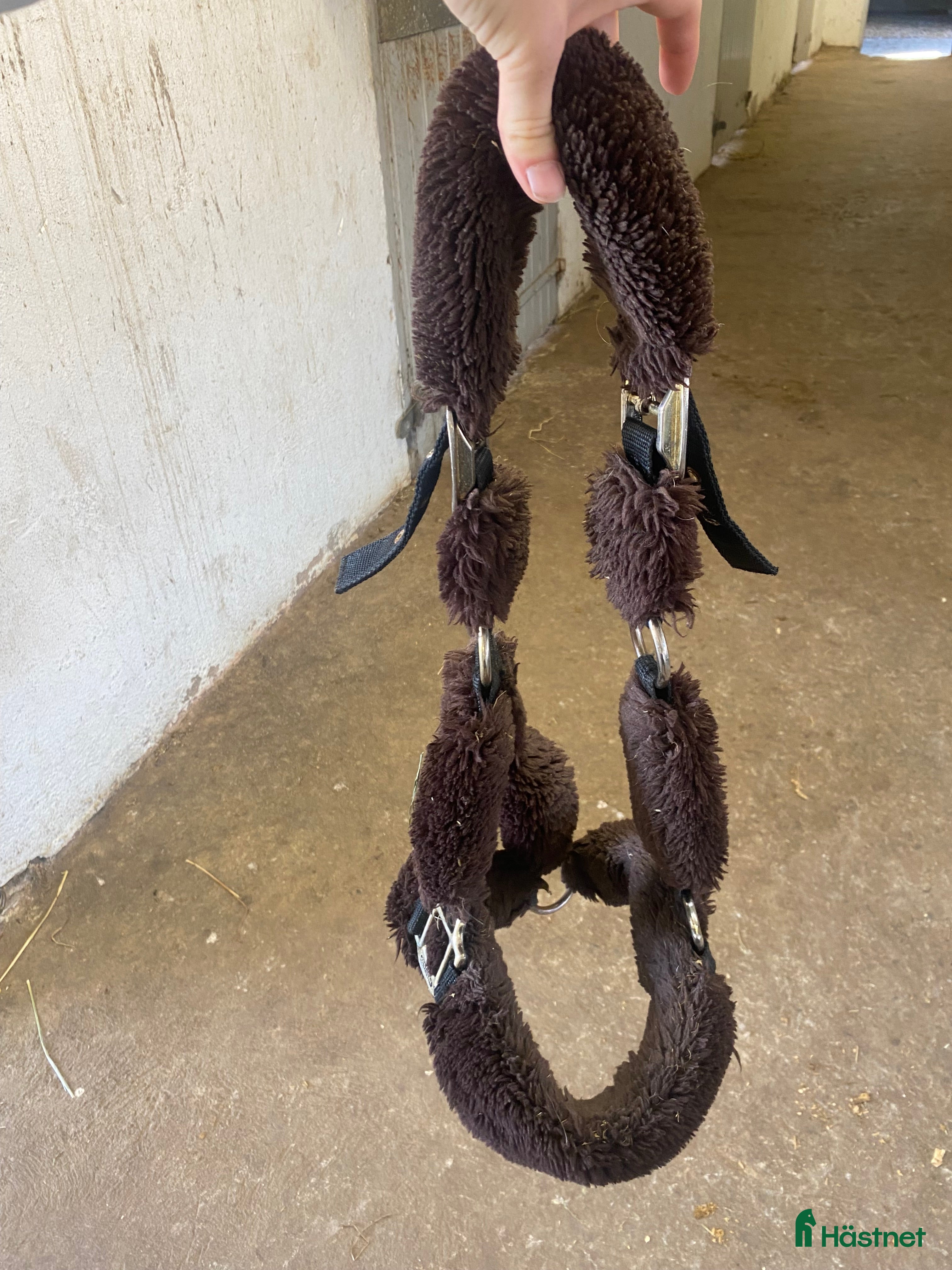 Övrig Hästutrustning hästutrustning till salu: Kentucky grimma  i Hörby - Annons 9