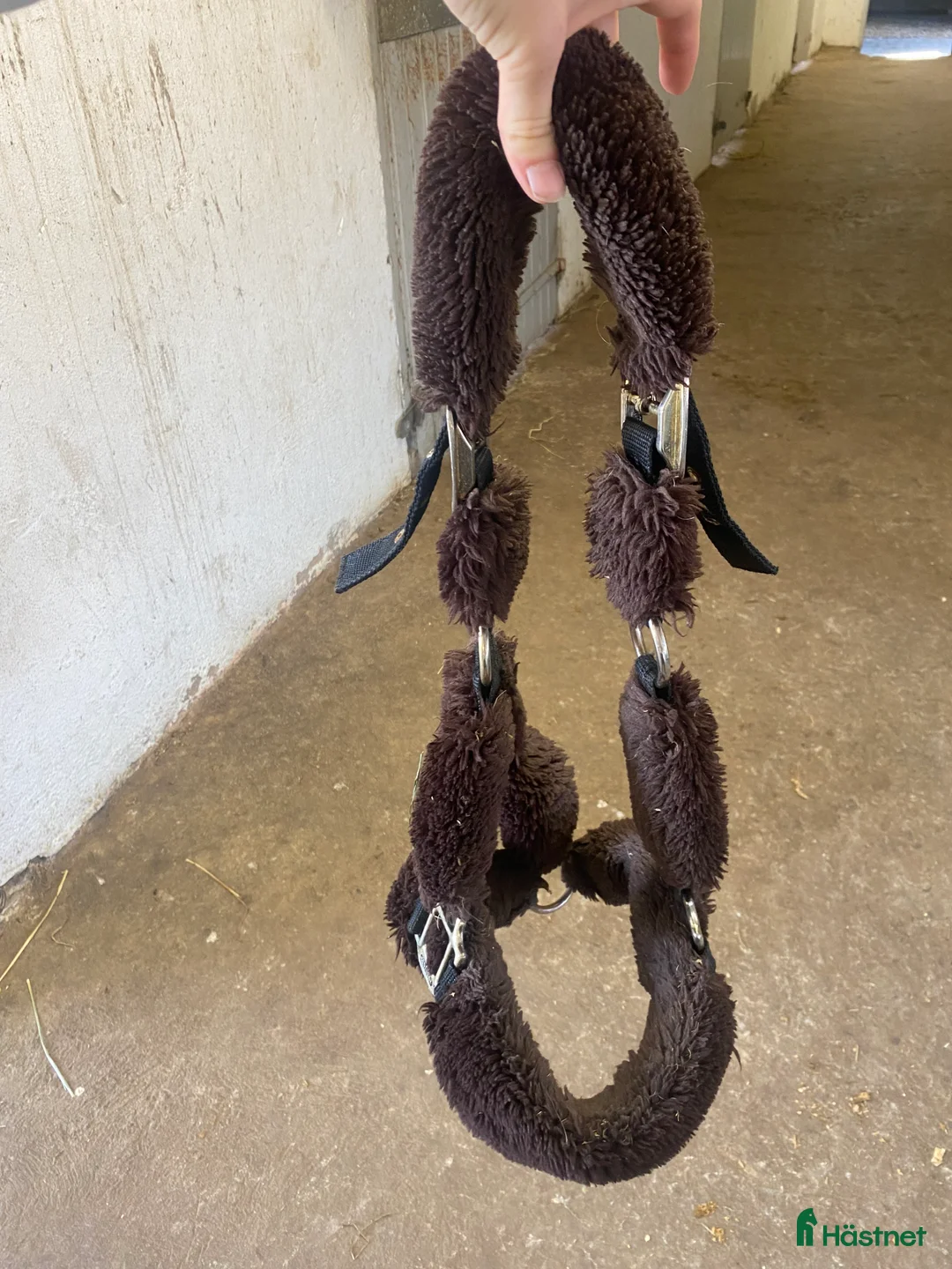 Övrig Hästutrustning hästutrustning till salu: Kentucky grimma  i Hörby - Annons 1