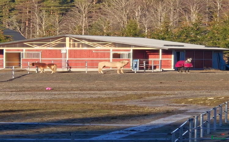  stallplats Active stable Haninge södra Stockholm  i Österhaninge - Annons 3