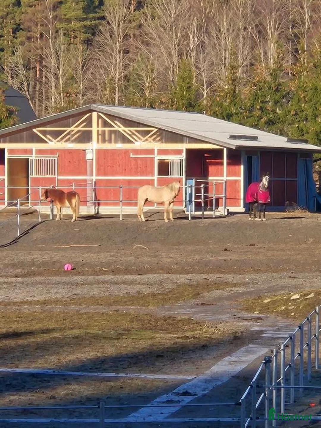  stallplats finnes: Active stable Haninge södra Stockholm  - Annons 1