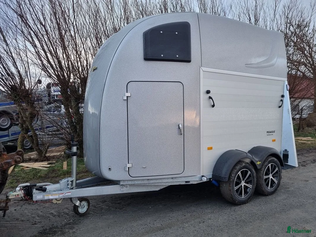 Hästtransporter  fordon & transport till salu: Kampanj - Ny - Humbaur Pegasus - Annons 7