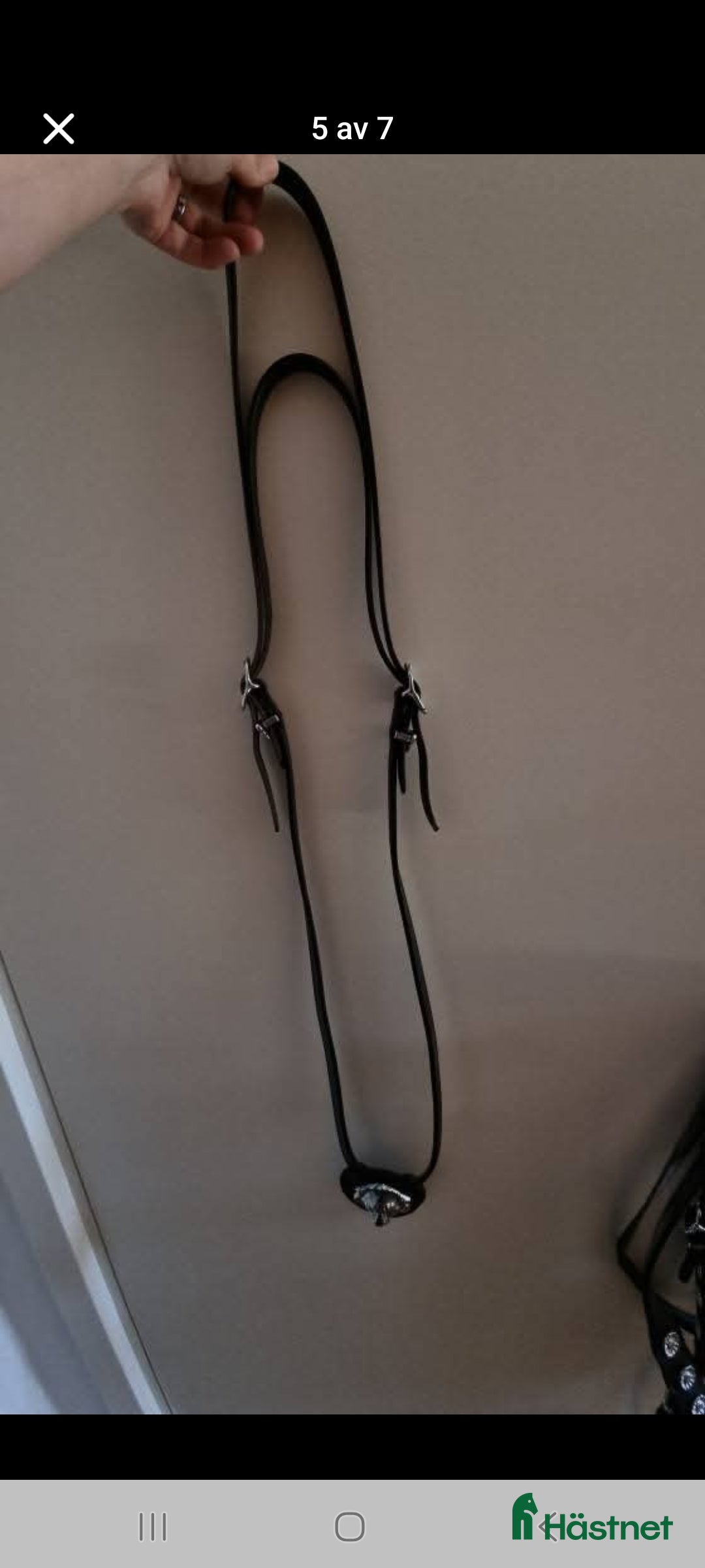 Träns hästutrustning till salu: Akademisk träns med tillhörande halsring  i Björkvik - Annons 5