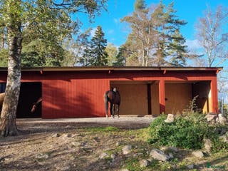 stallplats Lösdrift för grabbar - Annons 10