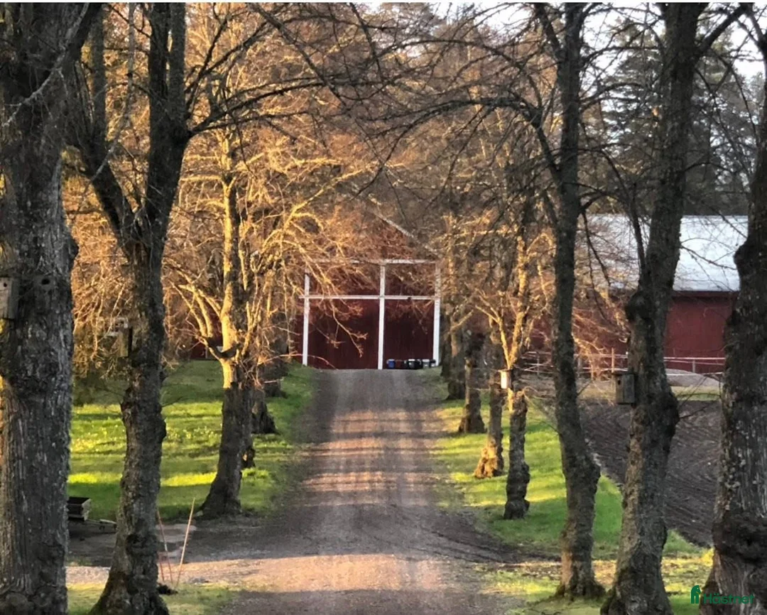  stallplats finnes: Hästanläggning + Bostadshus uthyres - Annons 2