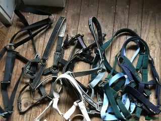 Övrig Hästutrustning hästutrustning till salu: 10 grimmor till shetland och ardenner i Långasjö - Annons 3