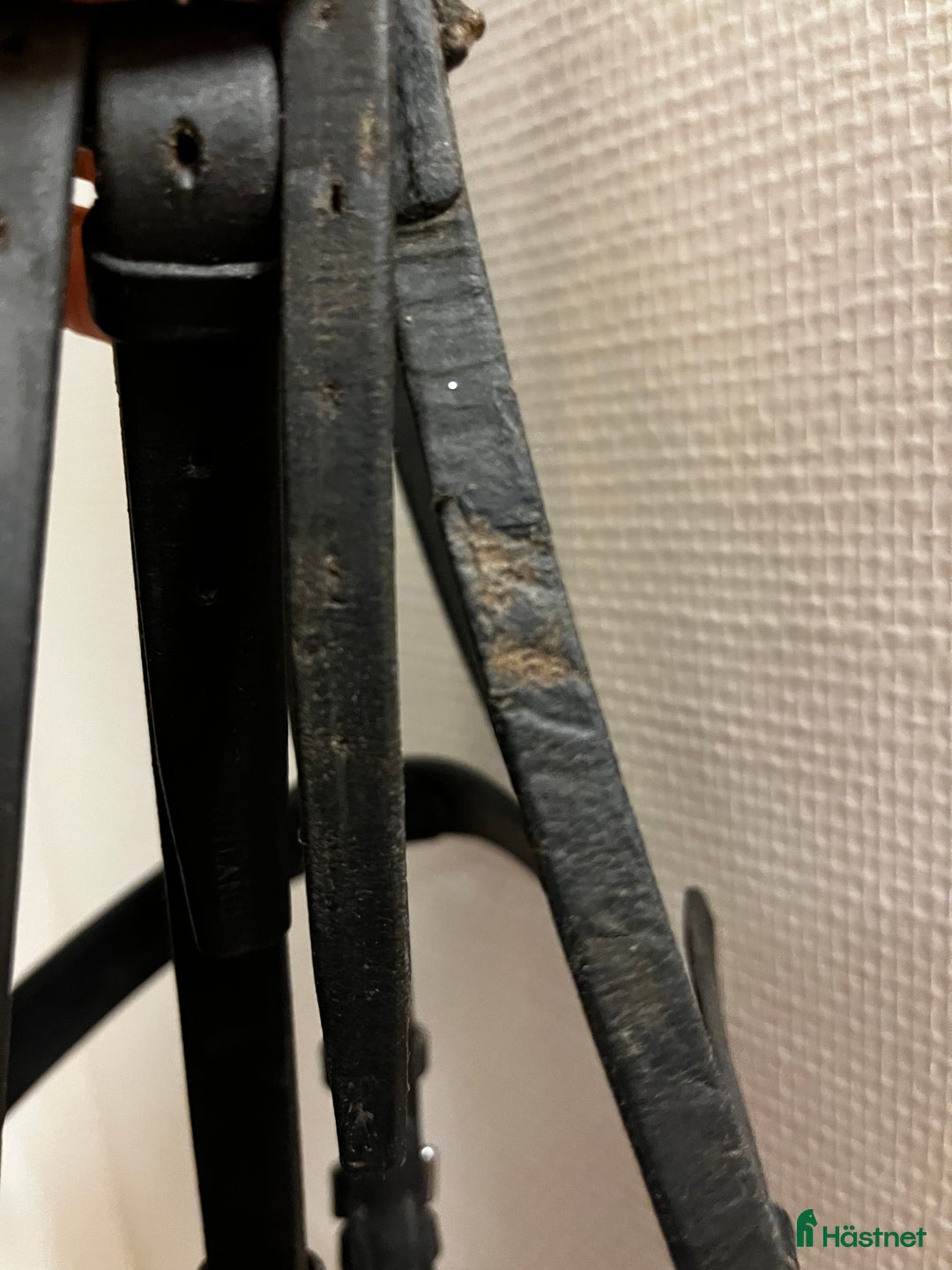 Träns hästutrustning till salu: Engelskt Svart Träns i Rättvik - Annons 4