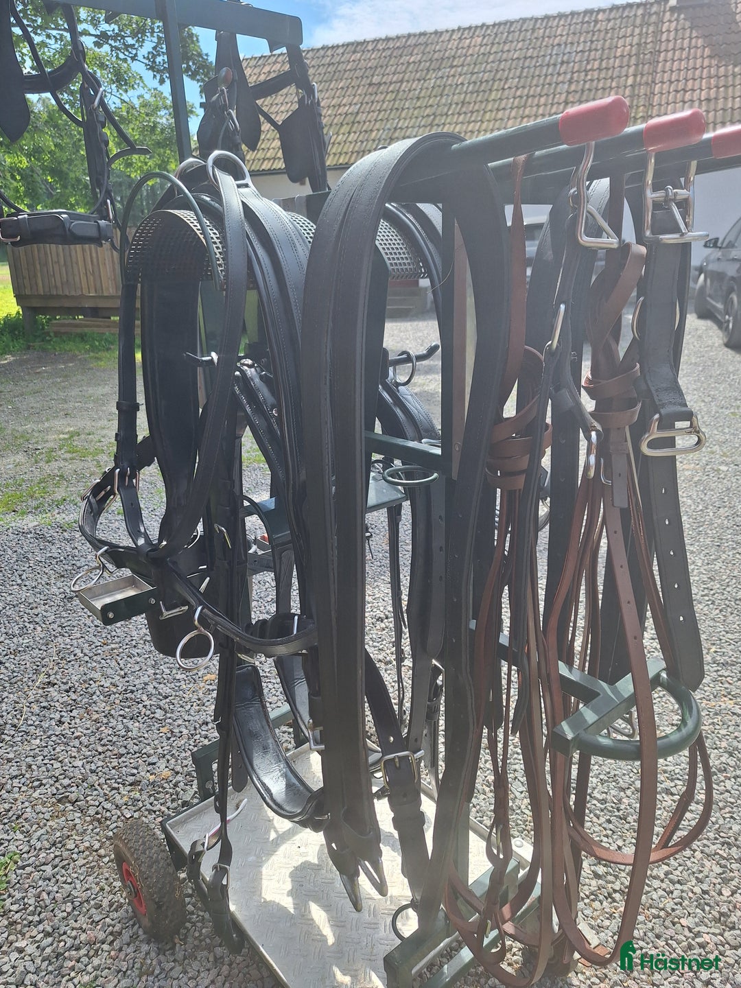 Körselar körning till salu: Ideal kombi sele par/enbet i Blentarp - Annons 5