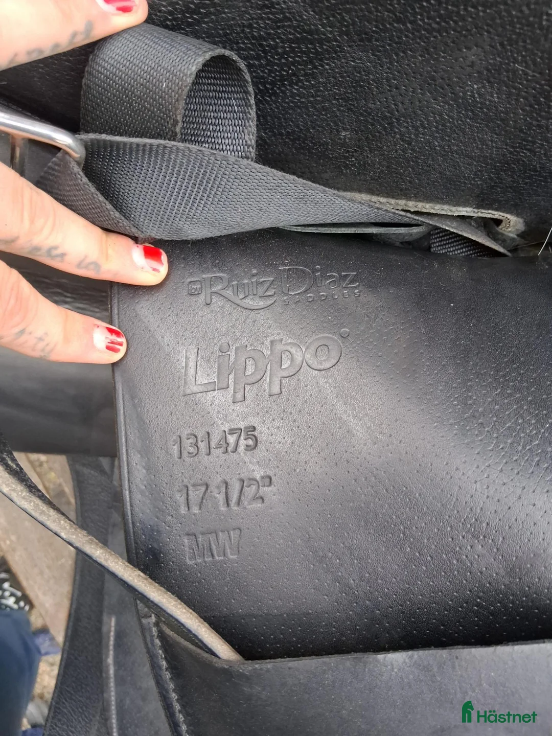 Sadlar hästutrustning till salu: Lippo Ruiz Diaz 17,5" - Annons 2