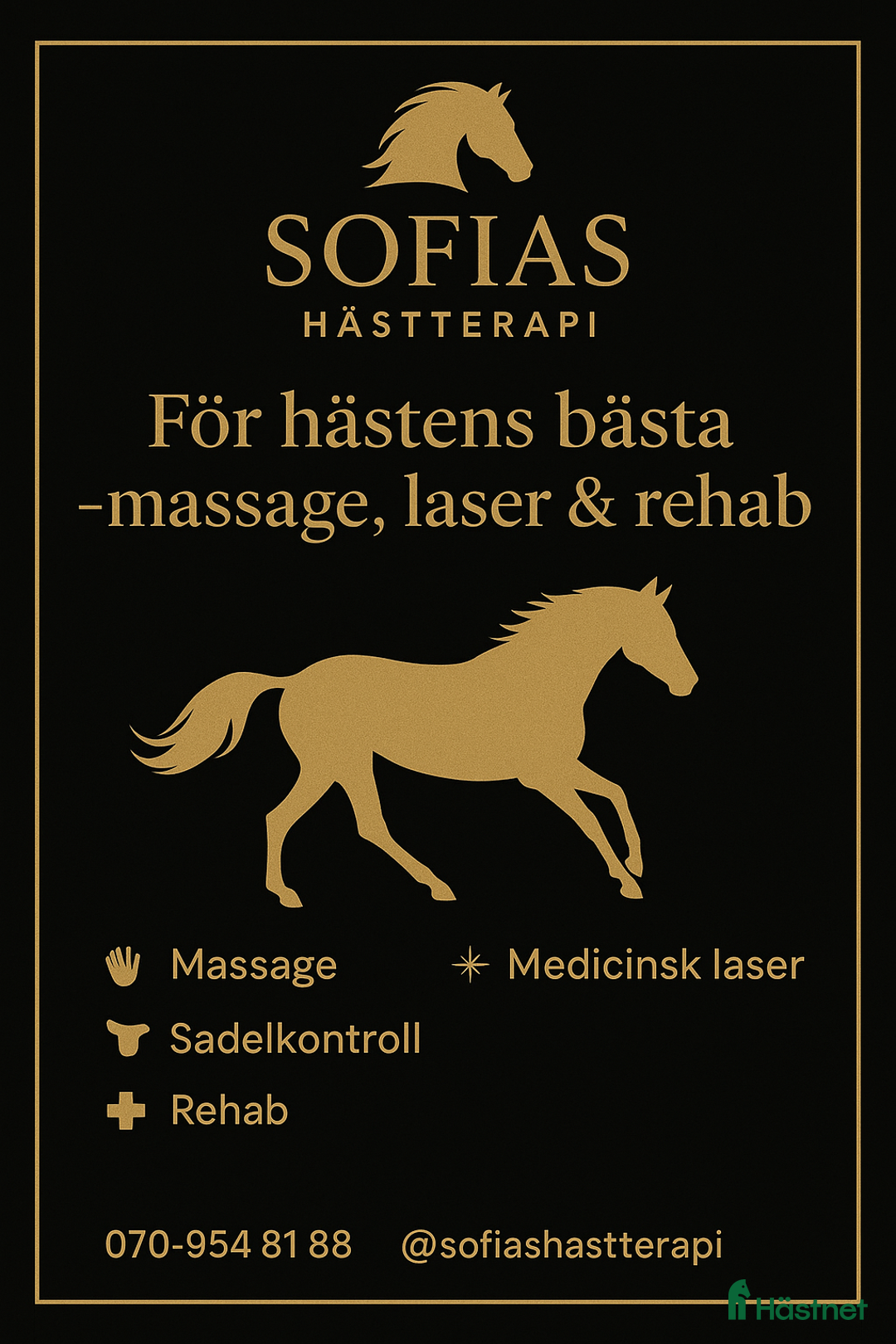  hästservice finnes: Massage och laser i Lönneberga - Annons 1