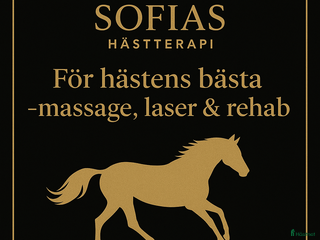 hästservice Massage och laser i Lönneberga - Annons 18