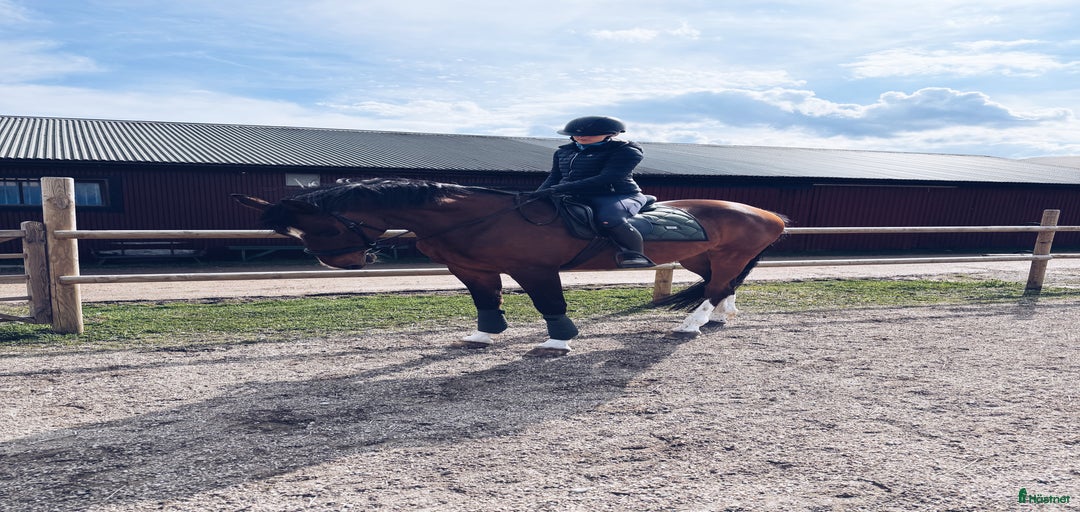 Galleribild {{count}}