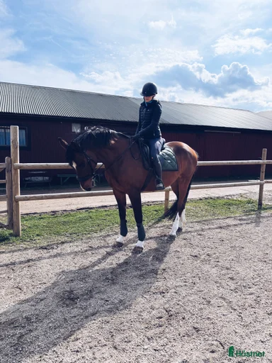 Galleribild {{count}}