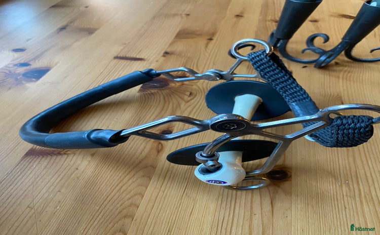 Bett hästutrustning till salu i Lund - Annons 20