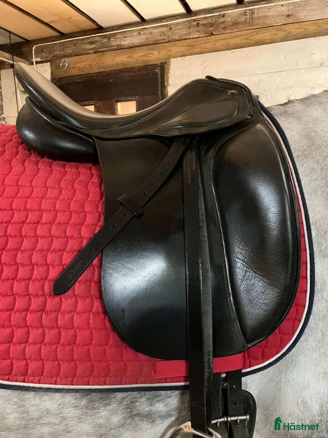 Sadlar hästutrustning till salu: Globus dressyr 32 / 17,5 i Skärplinge - Annons 1