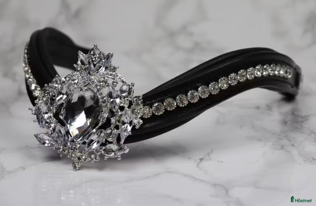 Träns hästutrustning till salu: Fint divoyh pannband! i Kristianstad - Annons 1