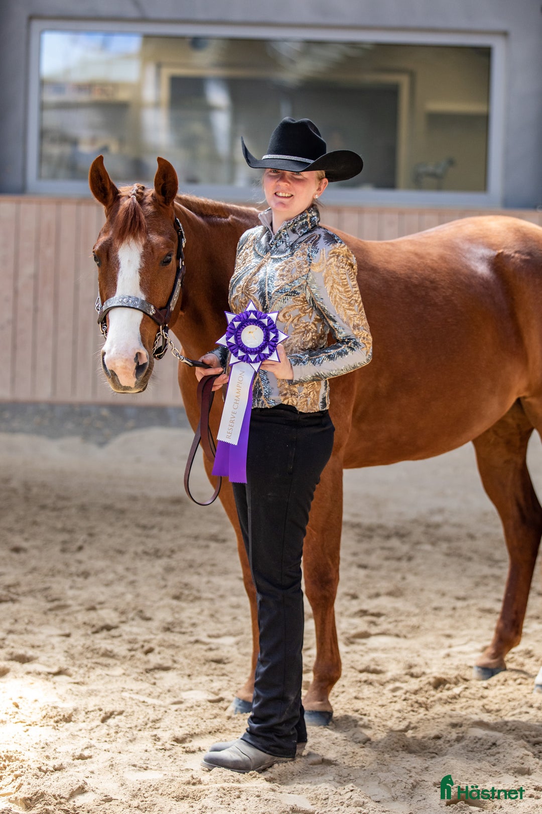 Western hästar till salu: Gångartsto quarter 6 år i Stenstorp - Annons 5