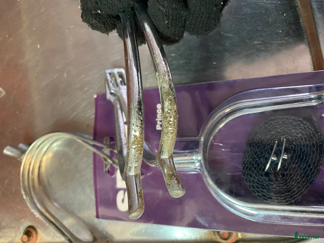 Övrig Hästutrustning hästutrustning till salu: Häst och stall utrustning  - Annons 12