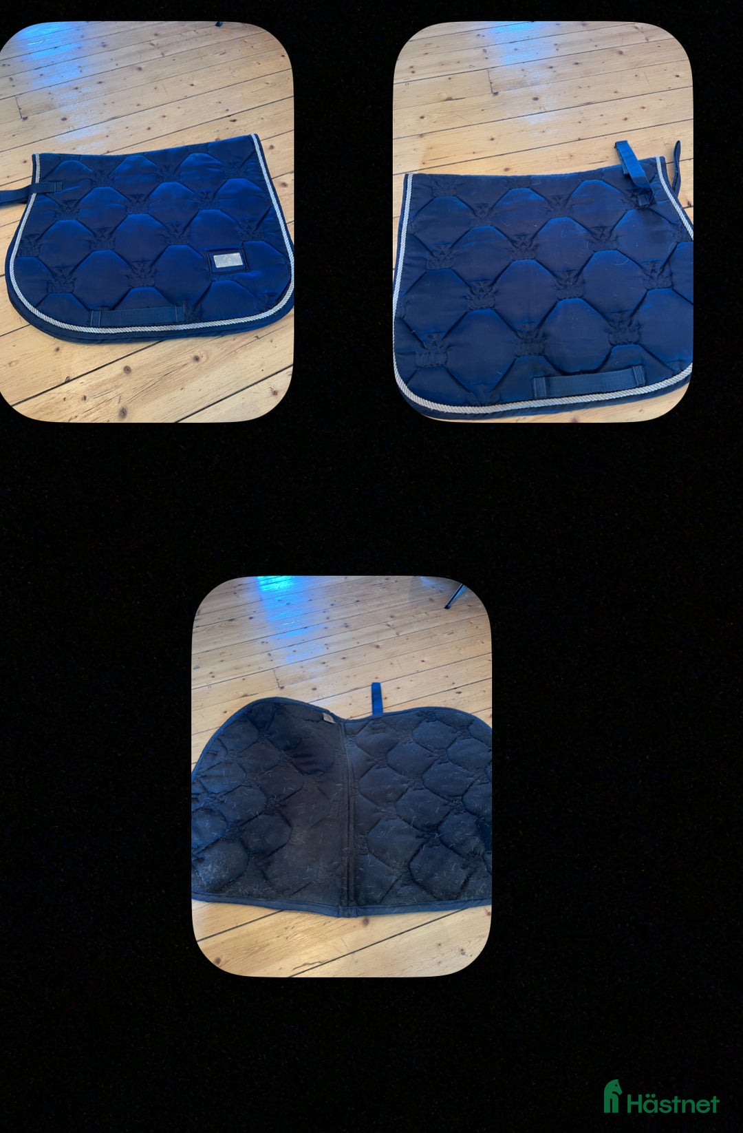 Schabrak & Vojlockar hästutrustning till salu: Schabrak i Falkenberg - Annons 2