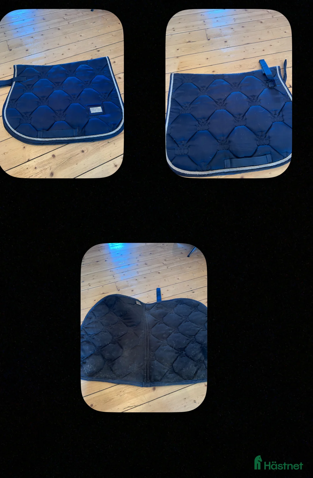 Schabrak & Vojlockar hästutrustning till salu: Schabrak i Falkenberg - Annons 2