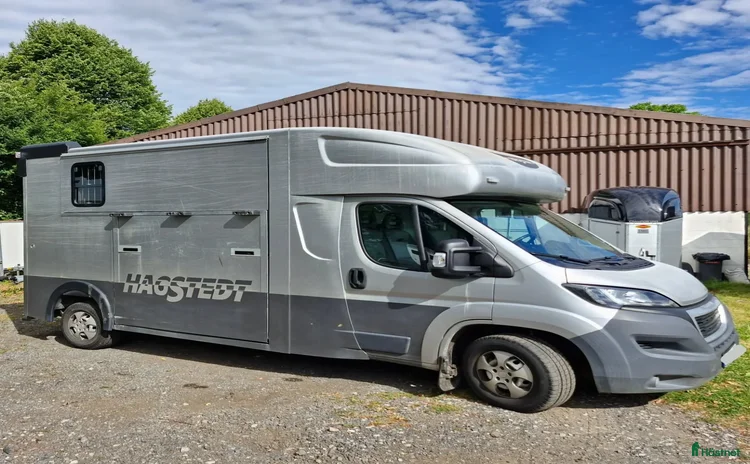 Hästtransporter  fordon & transport till salu i Borås - Annons 14