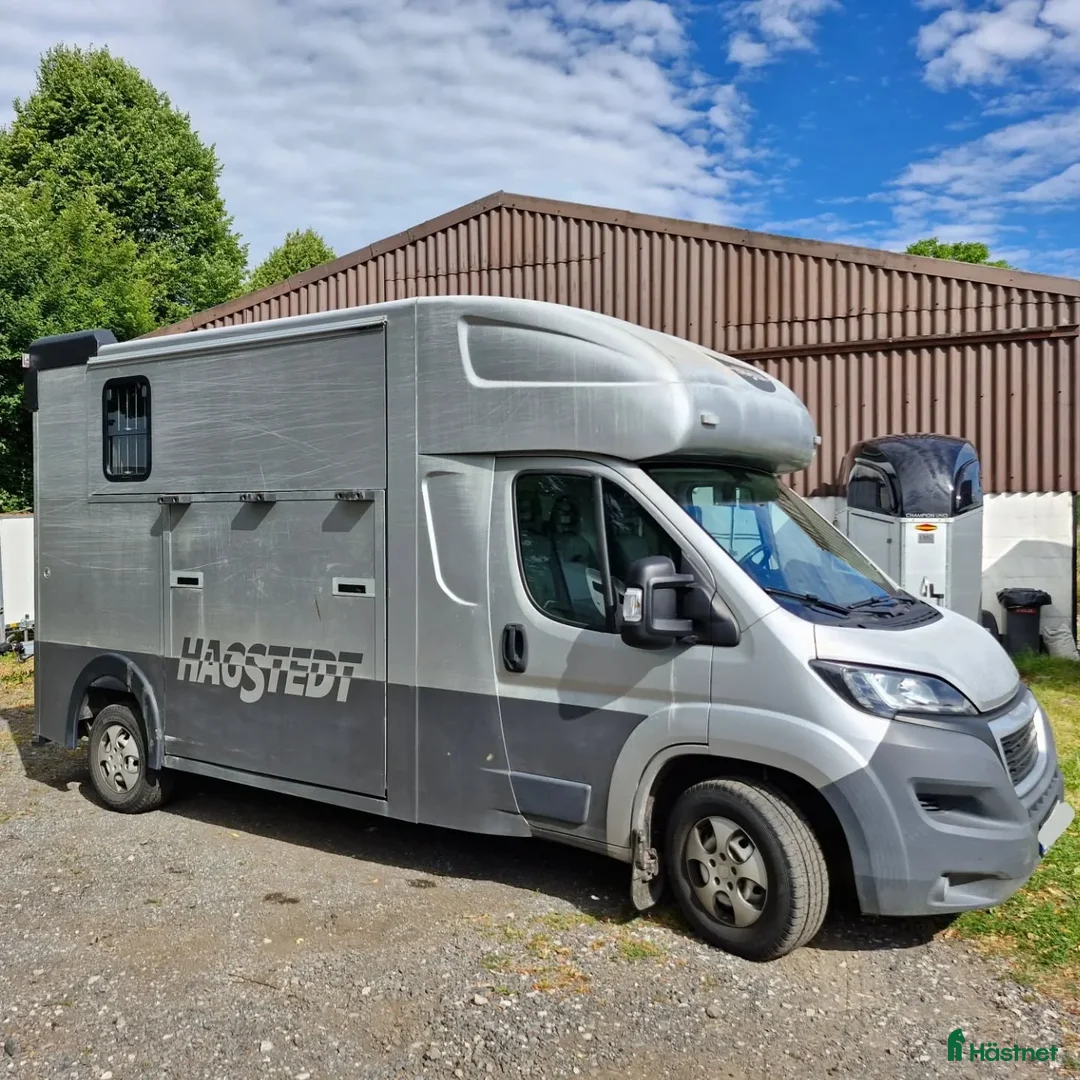 Hästtransporter  fordon & transport till salu:  Peugeot Boxer MSG Stablehopper i Borås - Annons 1