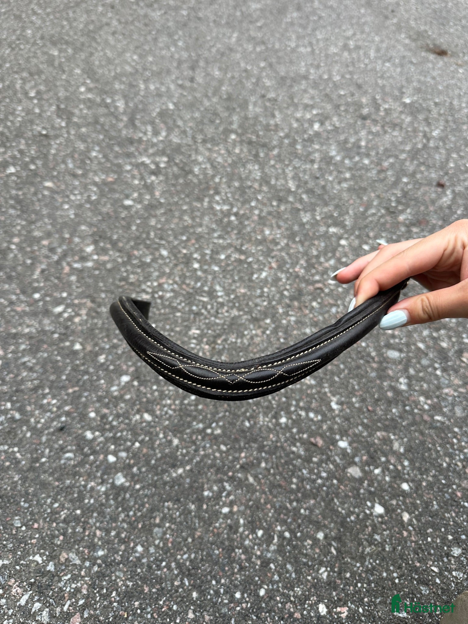 Träns hästutrustning Pannband 😍 - Annons 16