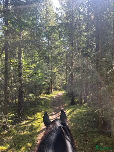 Galleribild {{count}}