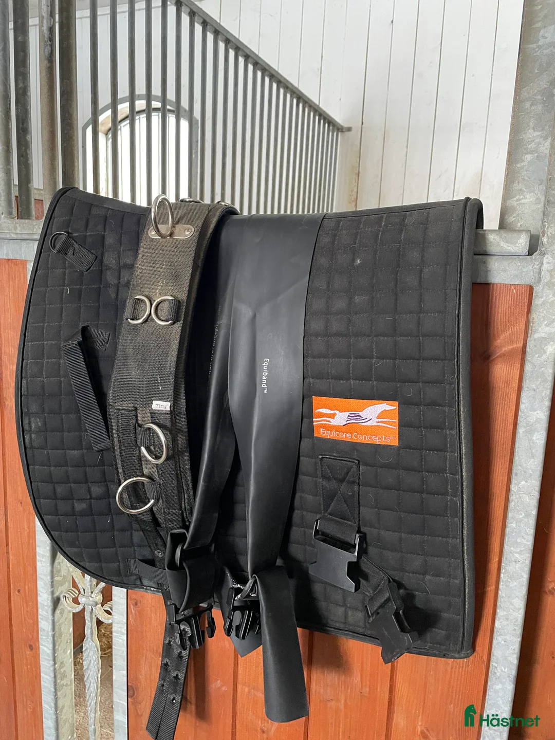  hästservice finnes: Tömkörning i Åtvidaberg - Annons 2