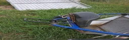 Körvagnar körning till salu: Nissan vagn - Annons 3