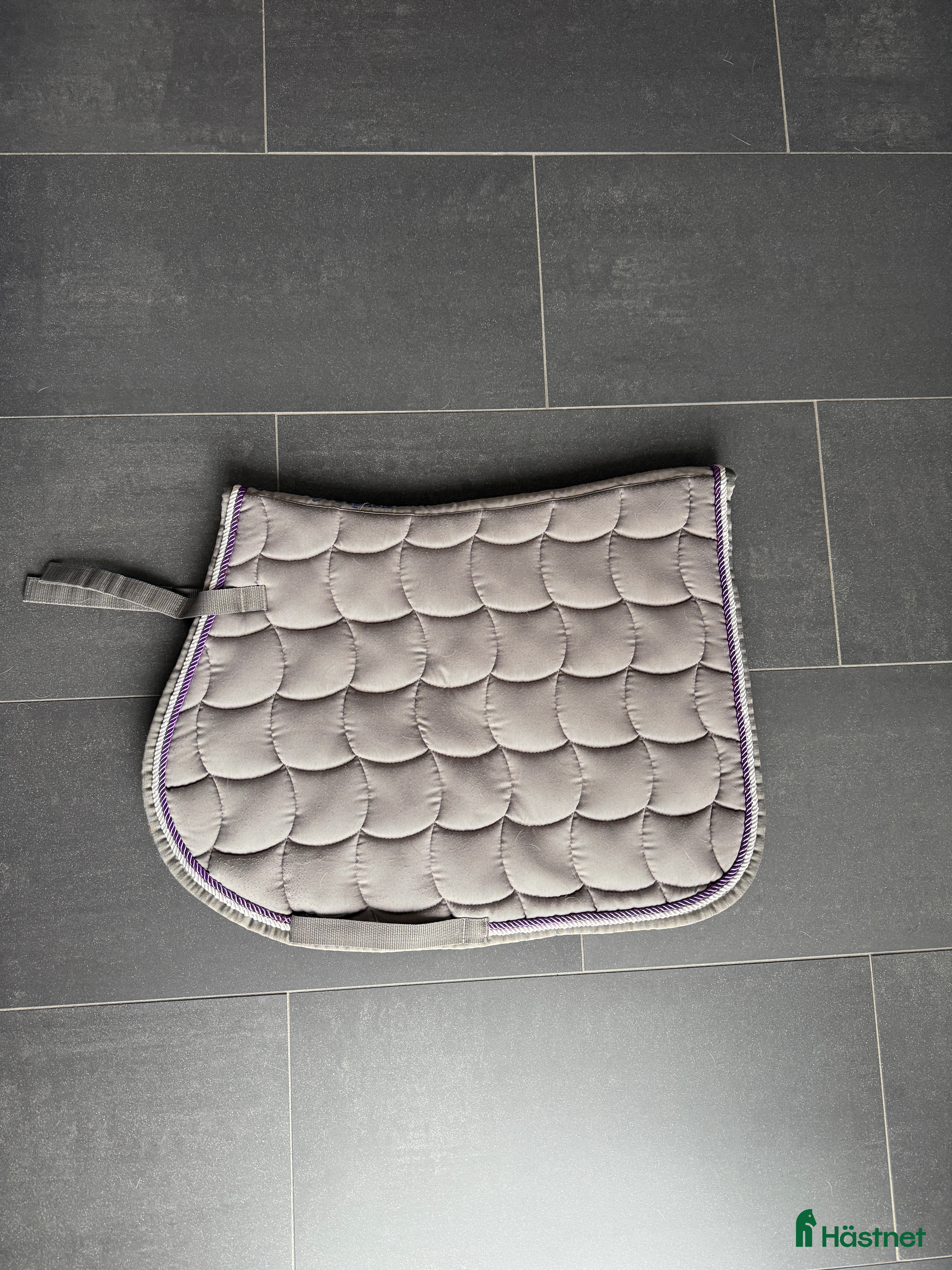 Schabrak & Vojlockar hästutrustning till salu: Hoppschabrak i Trelleborg - Annons 10