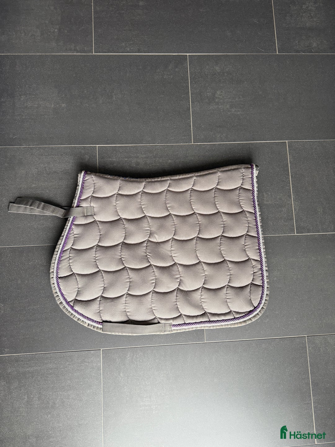 Schabrak & Vojlockar hästutrustning till salu: Hoppschabrak i Trelleborg - Annons 1